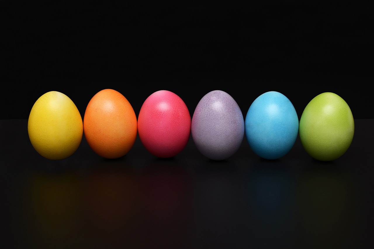 ６色のカラフルな卵が横一列に並ぶ。